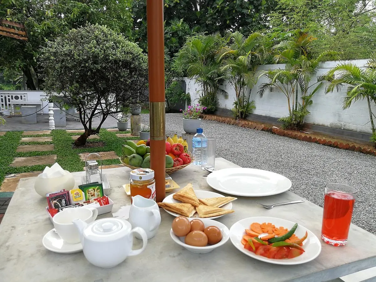 Yoho Escape Negombo Hotel
